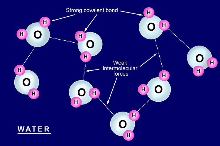 diagram showing weak intermolecular bonds